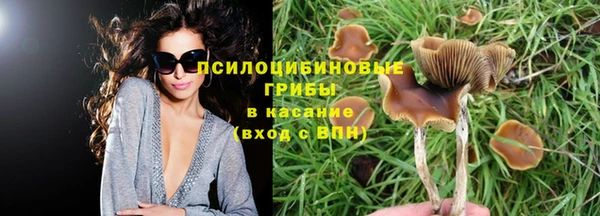 кокаин Богородицк