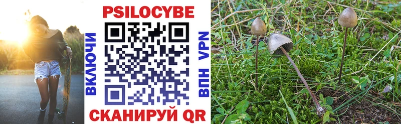 MEGA ссылка  продажа наркотиков  Новый Уренгой  Галлюциногенные грибы MAGIC MUSHROOMS 